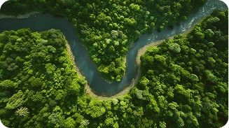 rio visto de cima