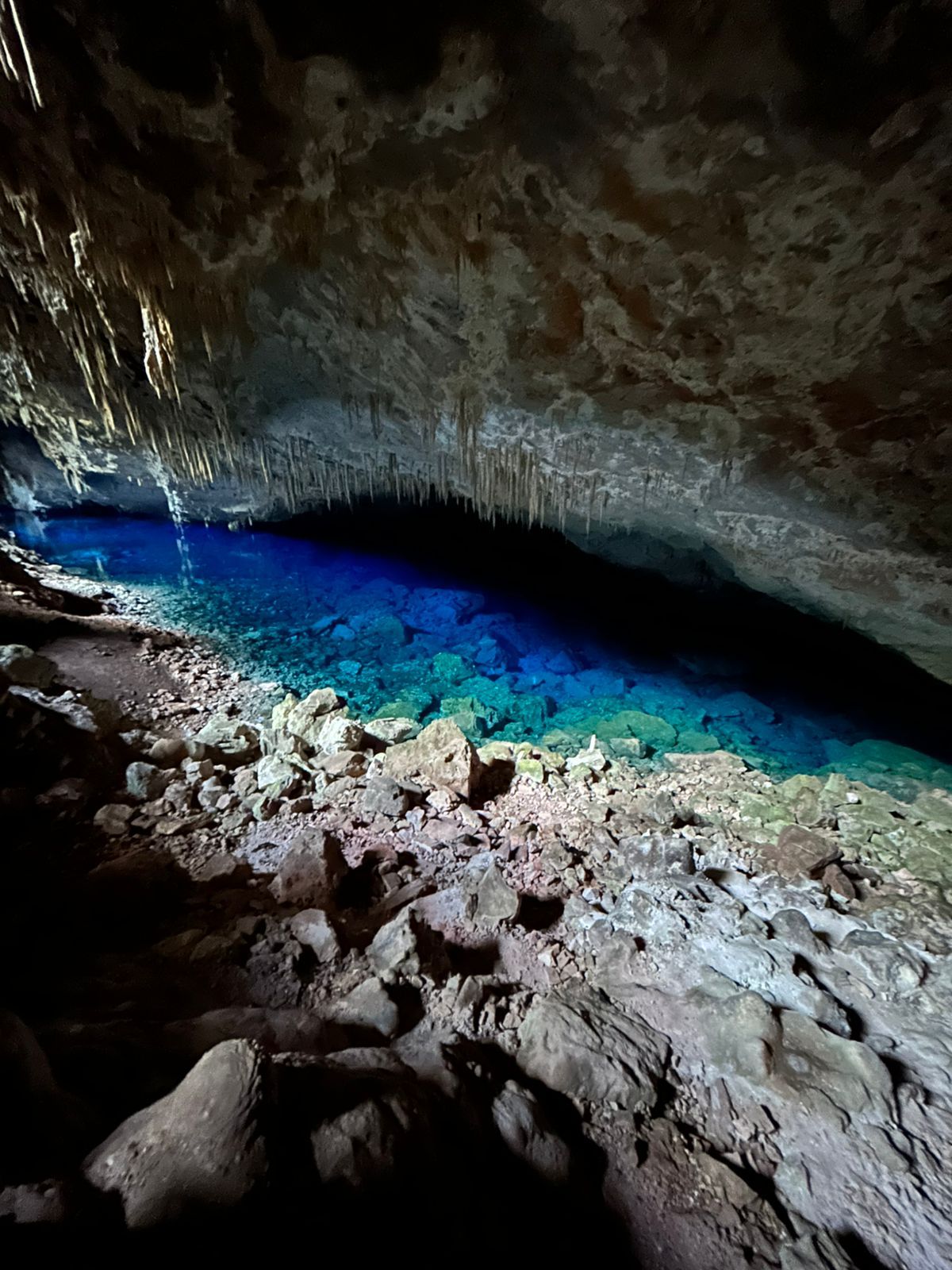 No último mês tivemos a oportunidade de realizar uma experiência memorável ao levar um grupo de incentivo corporativo para arquitetos de todo o Brasil para Bonito-MS, um destino que encanta pela exuberância natural e pela hospitalidade. O roteiro foi cuidadosamente planejado para que todos pudessem conhecer o melhor que Bonito tem a oferecer, desde os passeios de ecoturismo em rios cristalinos e grutas fascinantes até a gastronomia local. O ponto alto foi a imersão cultural proporcionada pela Noite de Comitiva, um evento exclusivo que reuniu música, culinária típica e o autêntico espírito pantaneiro, permitindo que os participantes vivenciassem a cultura regional de forma única e marcante.