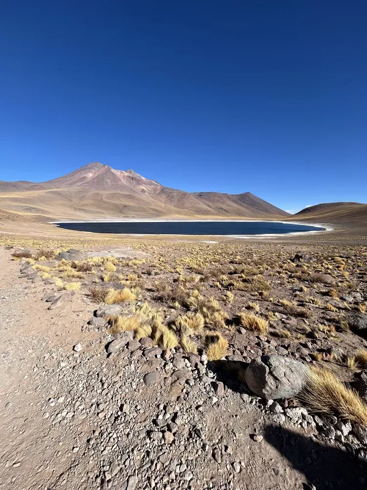 O Deserto do Atacama é um destino que surpreende em cada detalhe! Dos gêiseres fumegantes ao amanhecer às lagoas altiplânicas de azul intenso, passando por vales esculpidos pelo tempo e céus estrelados como poucos no planeta, o Atacama entrega experiências únicas para os viajantes. É o cenário perfeito para quem busca natureza extrema, paisagens surreais e uma conexão profunda com a imensidão do deserto.