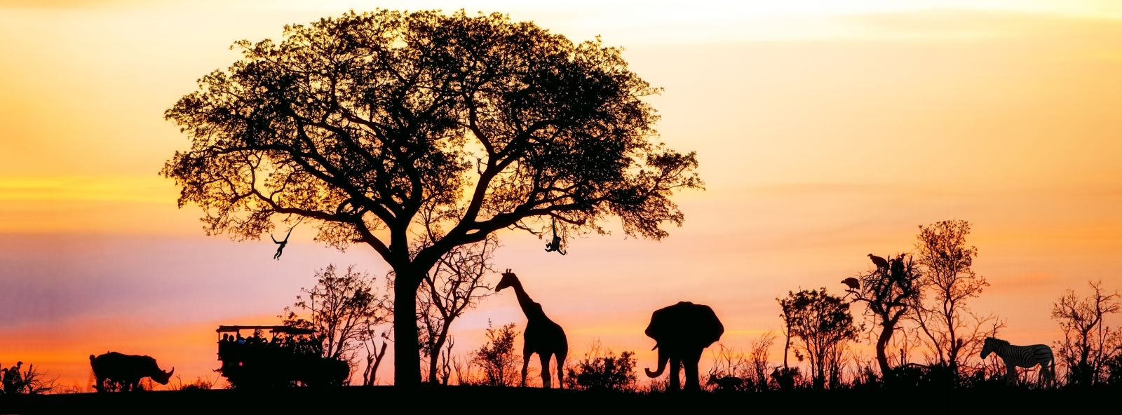 Foto do pacote África do Sul