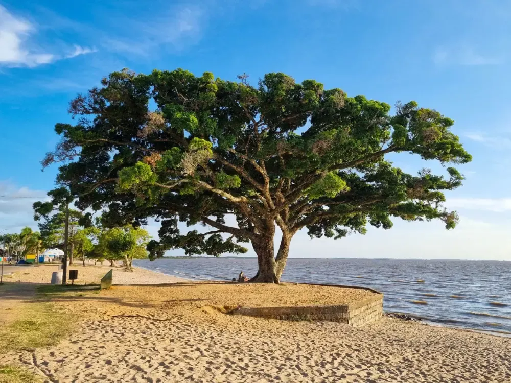Foto do pacote São Lourenço do Sul | Hotel das Figueiras